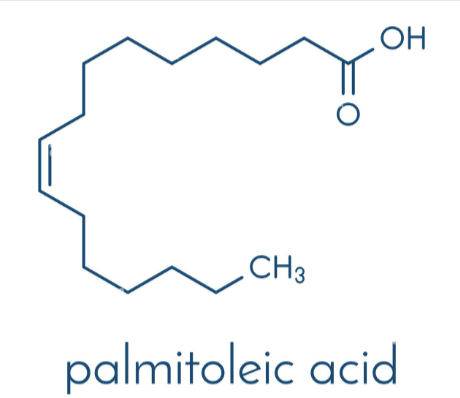 omega-7-fatty-acid ingredient